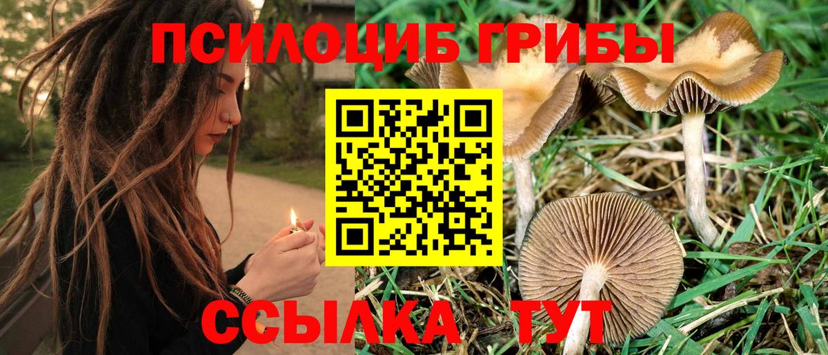 Псилоцибиновые грибы Psilocybine cubensis  Вход с VPN  Похвистнево 